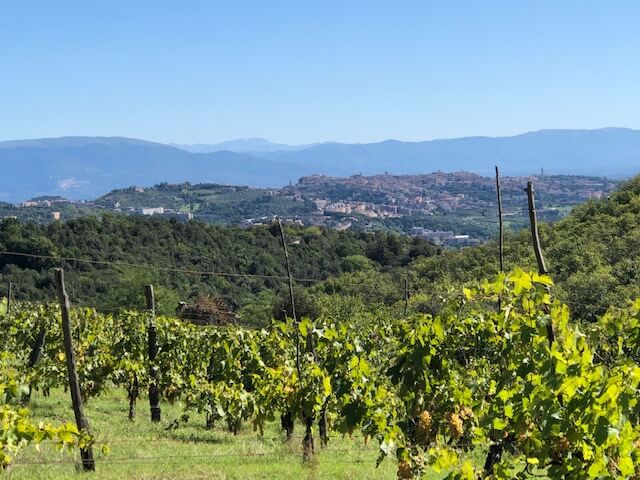 wine tours umbria