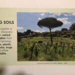 living soils